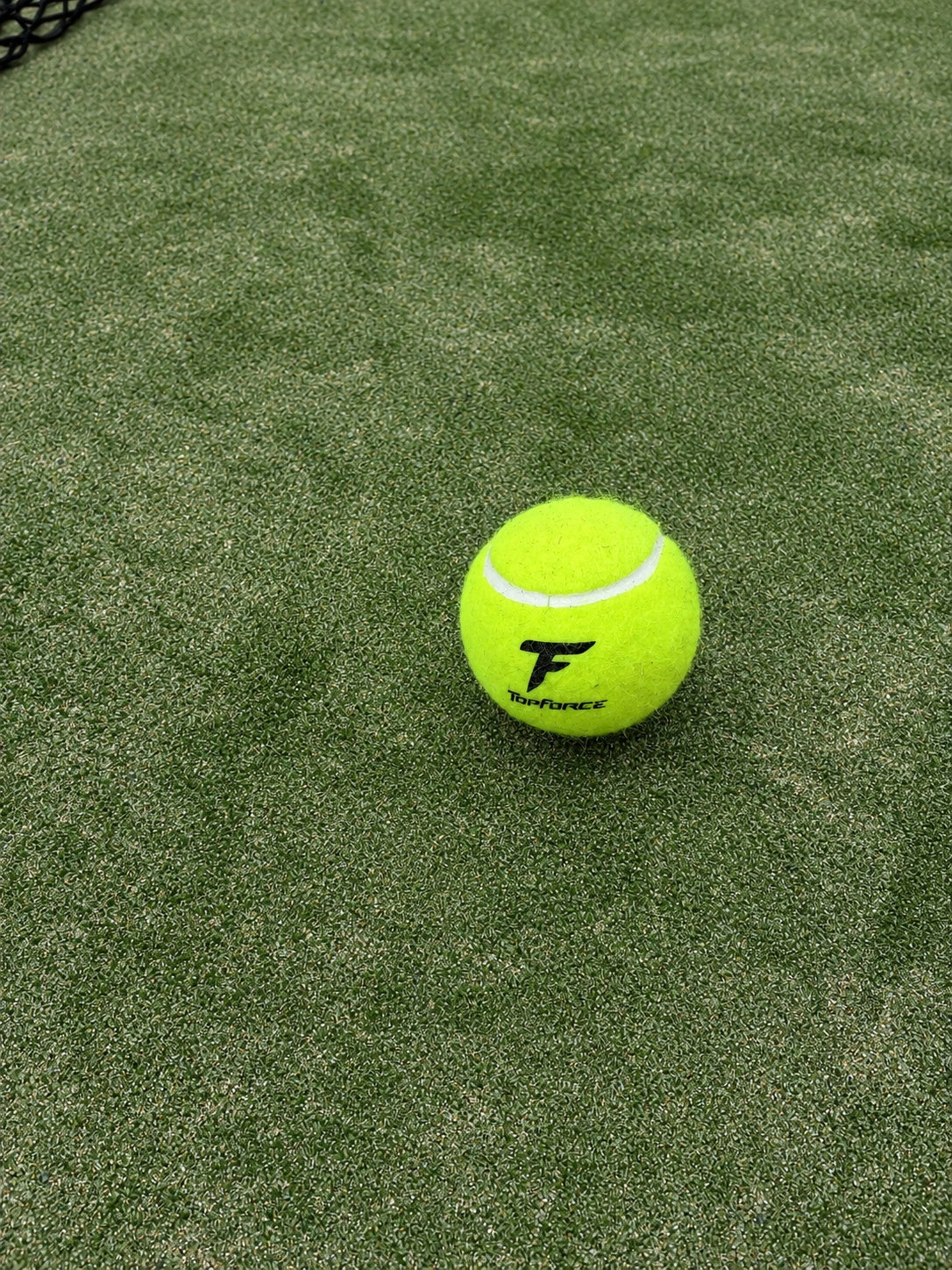 Top Force Premium Force Balls – Box of 24 Tubes