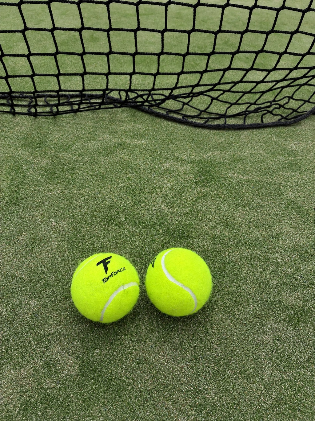 Top Force Premium Force Balls – Box of 24 Tubes